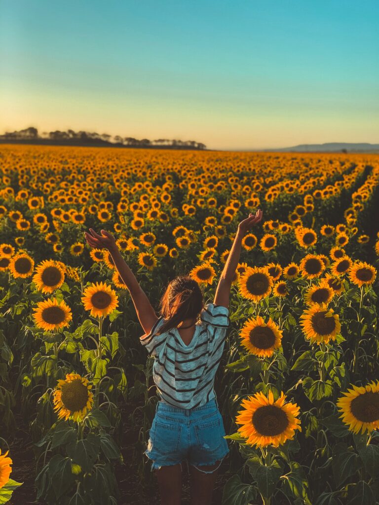 Sunflower Puns A Simple Collection of Plant Words That Make You Smile illustrated with vibrant sunflowers, humorous sayings, and botanical wordplay.