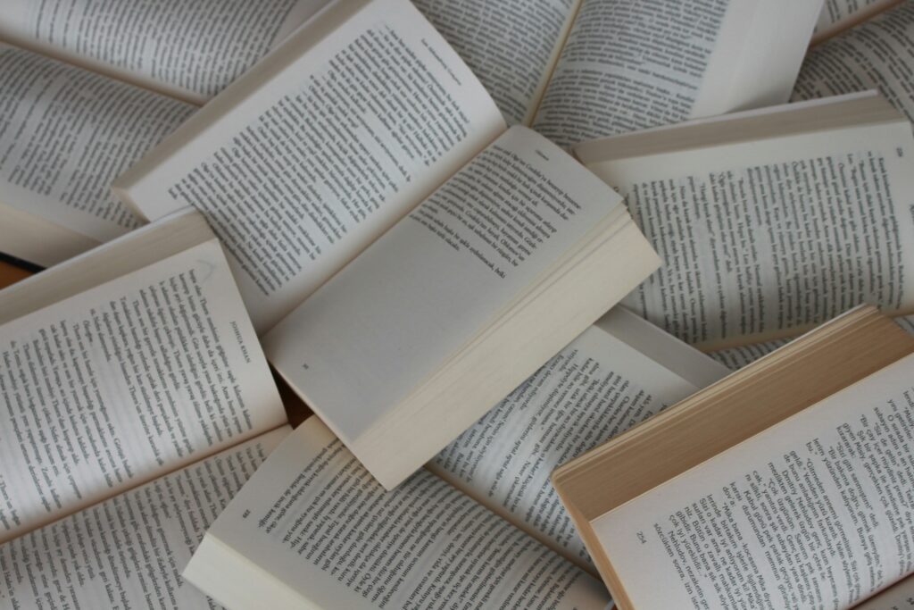 Printed Webster's Dictionary for English language reference
