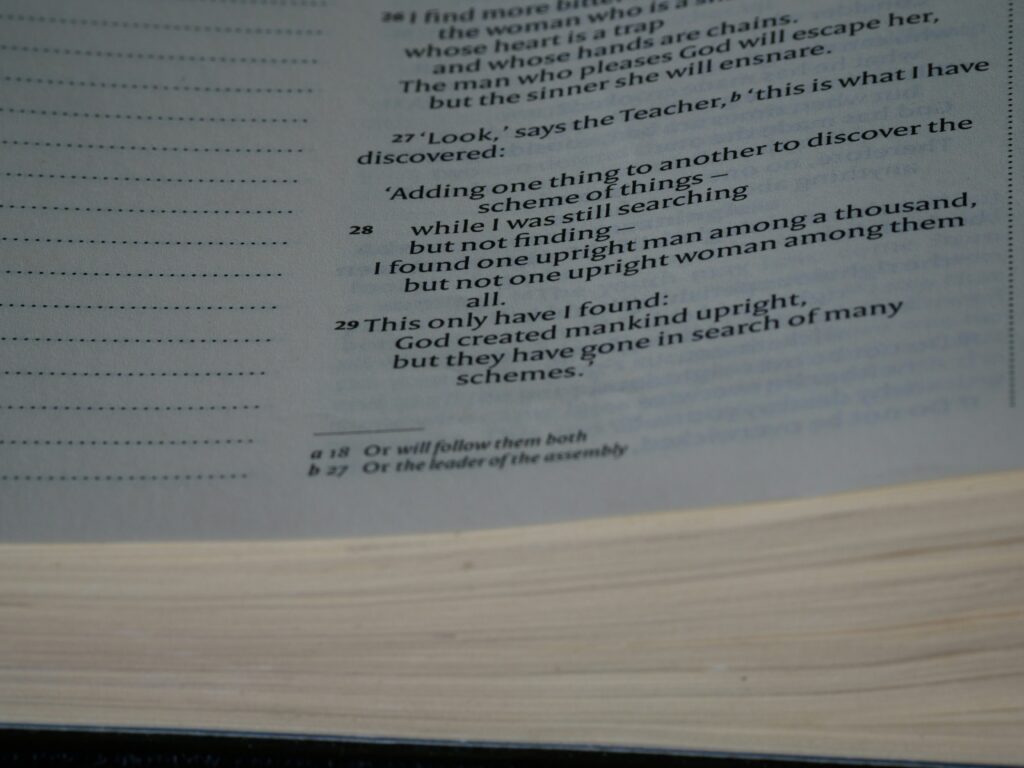 Indubitably covering meaning, etymology, grammar, examples, and everyday English usage.